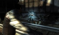 Dark Sector