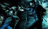 Dark Sector