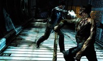 Dark Sector