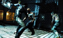 Dark Sector