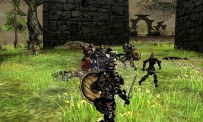 Darkfall Online