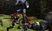 Darkfall Online