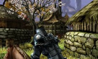 Darkfall Online