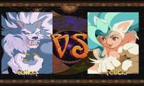 Darkstalkers Chronicle : The Chaos Tower