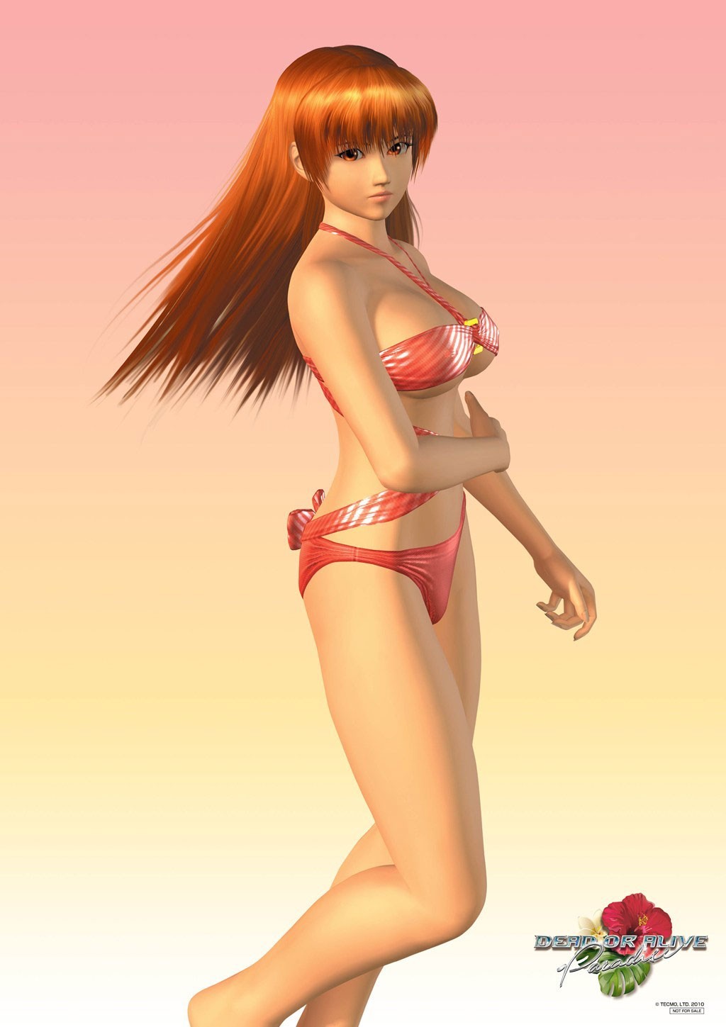 Des Images De Rio Dans Dead Or Alive Paradise Psp