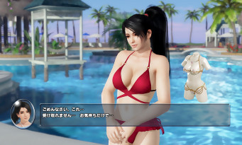 Dead or Alive Xtreme 3 Fortune