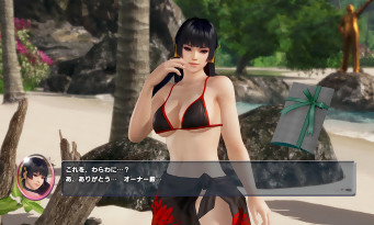 Dead or Alive Xtreme 3 Fortune