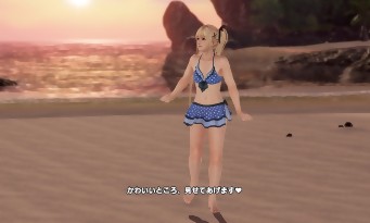 Dead or Alive Xtreme 3 Fortune