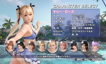 Dead or Alive Xtreme 3 Fortune