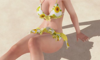 Dead or Alive Xtreme 3 Fortune