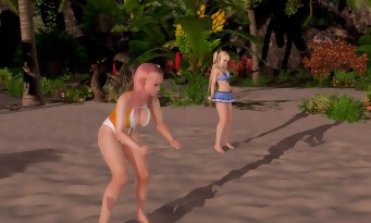 Dead or Alive Xtreme 3 Fortune