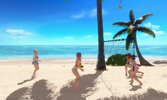 Dead or Alive Xtreme 3 Fortune