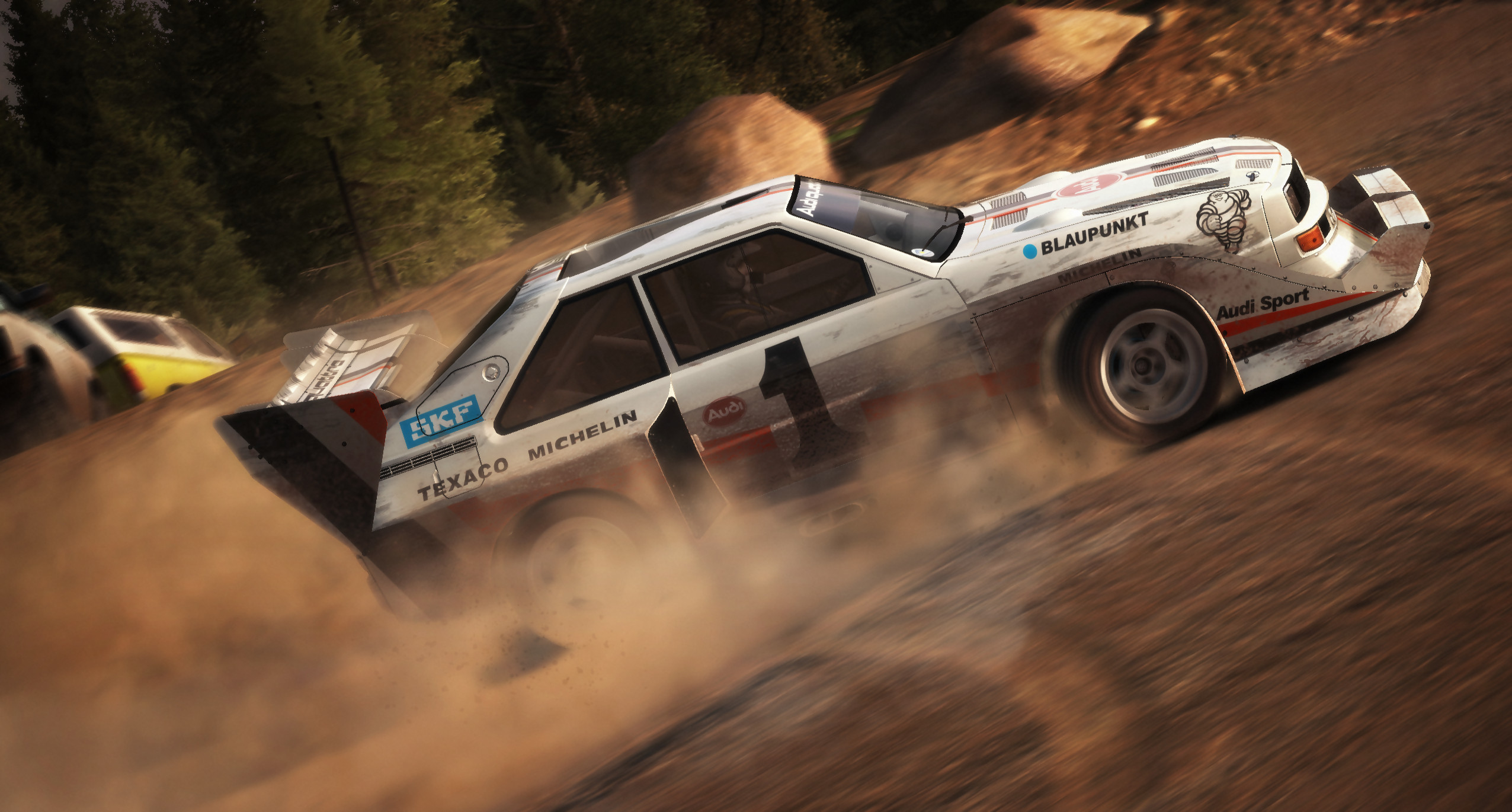 Dirt rally trainer