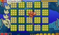 DK : King of Swing