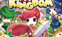 Dokapon Kingdom