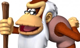 Donkey Kong Country Tropical Freeze : tous les personnages