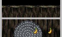 Donkey Kong : Jungle Climber