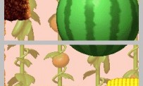 Donkey Kong : Jungle Climber