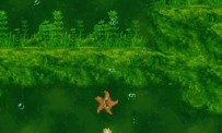 Donkey Kong : Jungle Climber