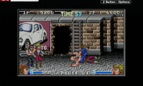 Double Dragon Advance