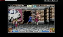 Double Dragon Advance