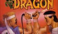 Double Dragon