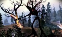 Dragon Age Origins : Awakening - Charred Sylvan