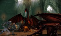 Dragon Age : Origins - Awakening