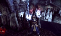 Dragon Age : Origins - Awakening