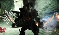 Dragon Age : Origins - Awakening