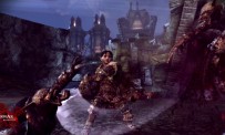 Dragon Age : Origins - Awakening