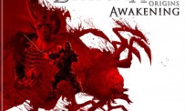 Dragon Age : Origins - Awakening