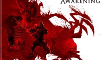 Dragon Age : Origins - Awakening