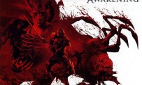 Dragon Age : Origins - Awakening