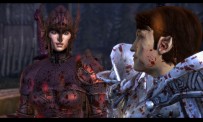 Dragon Age : Origins - Awakening