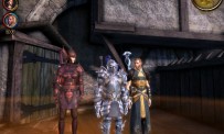 Dragon Age : Origins - Awakening