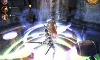 Dragon Age : Origins - Awakening