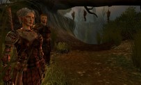 Dragon Age : Origins