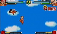 Dragon Ball Advanced Adventure