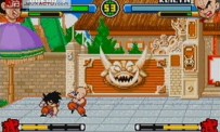 Dragon Ball Advanced Adventure