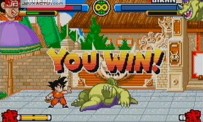 Dragon Ball Advanced Adventure