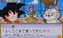 Dragon Ball Advanced Adventure