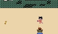 Dragon Ball : Origins 2