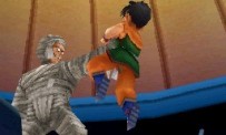 Dragon Ball : Origins 2