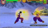 Dragon Ball Z : Budokai 2