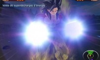 Dragon Ball Z : Budokai Tenkaichi