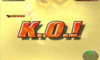 Dragon Ball Z : Budokai Tenkaichi