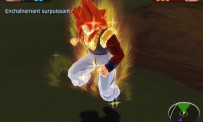 Dragon Ball Z : Budokai Tenkaichi