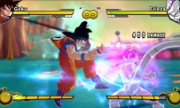 Dragon Ball Z : Burst Limit