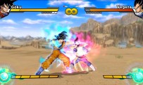 Dragon Ball Z : Burst Limit